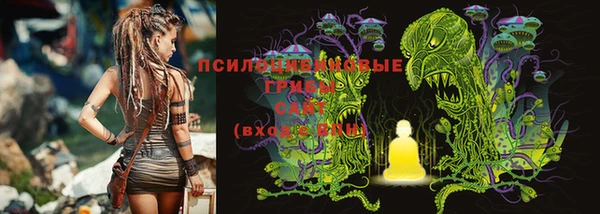 гидропоника Алзамай