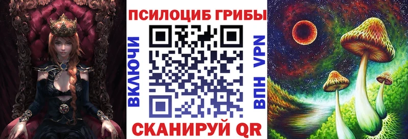 Галлюциногенные грибы Psilocybine cubensis  Куртамыш 