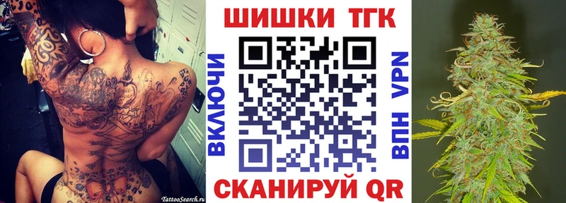 купить наркоту  Куртамыш  Каннабис индика 